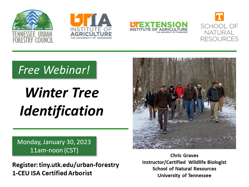Instructor Chris Graves to give seminar on winter tree identification