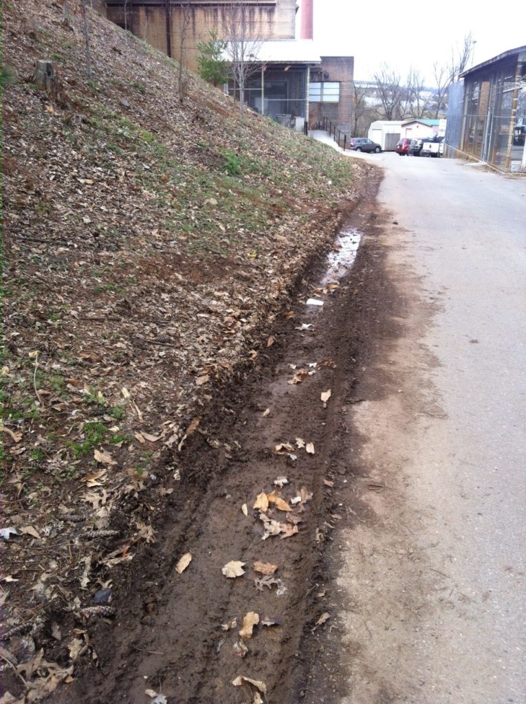 Grass and mud beside road