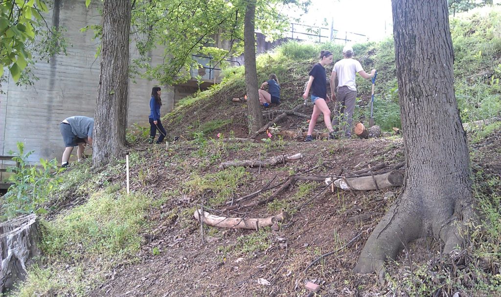 Five students clearing land