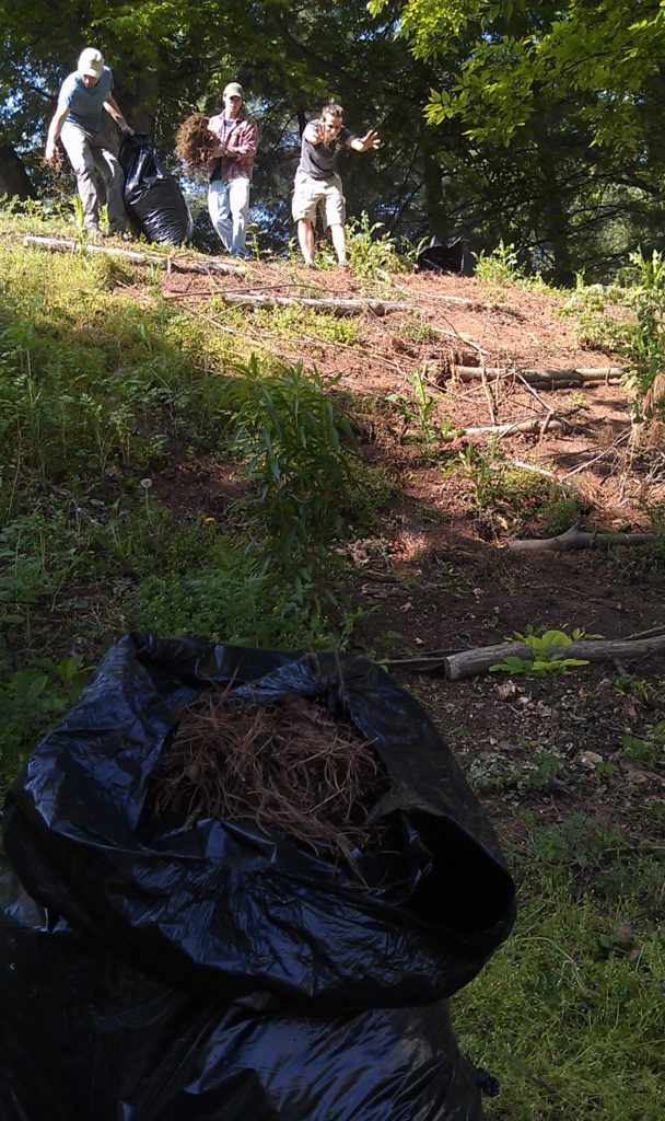 Three people clearing land