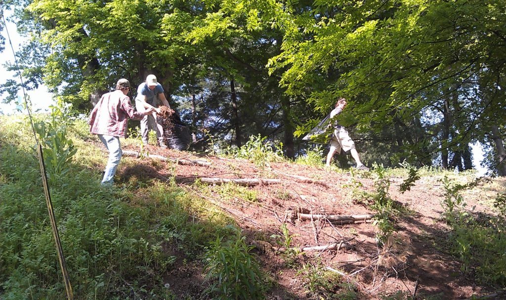 Three people working on restoring land