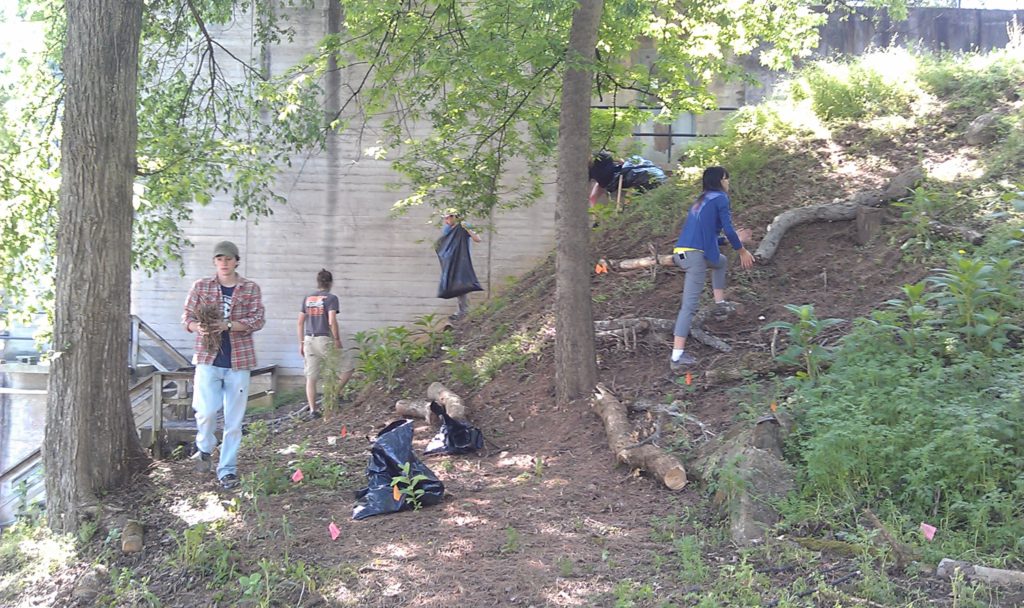 Four people clear land