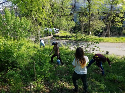 Four students walk in bushy area