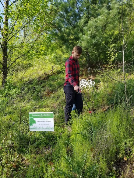 Student works on bushy hillside