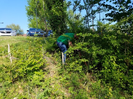 Student crouches near tree