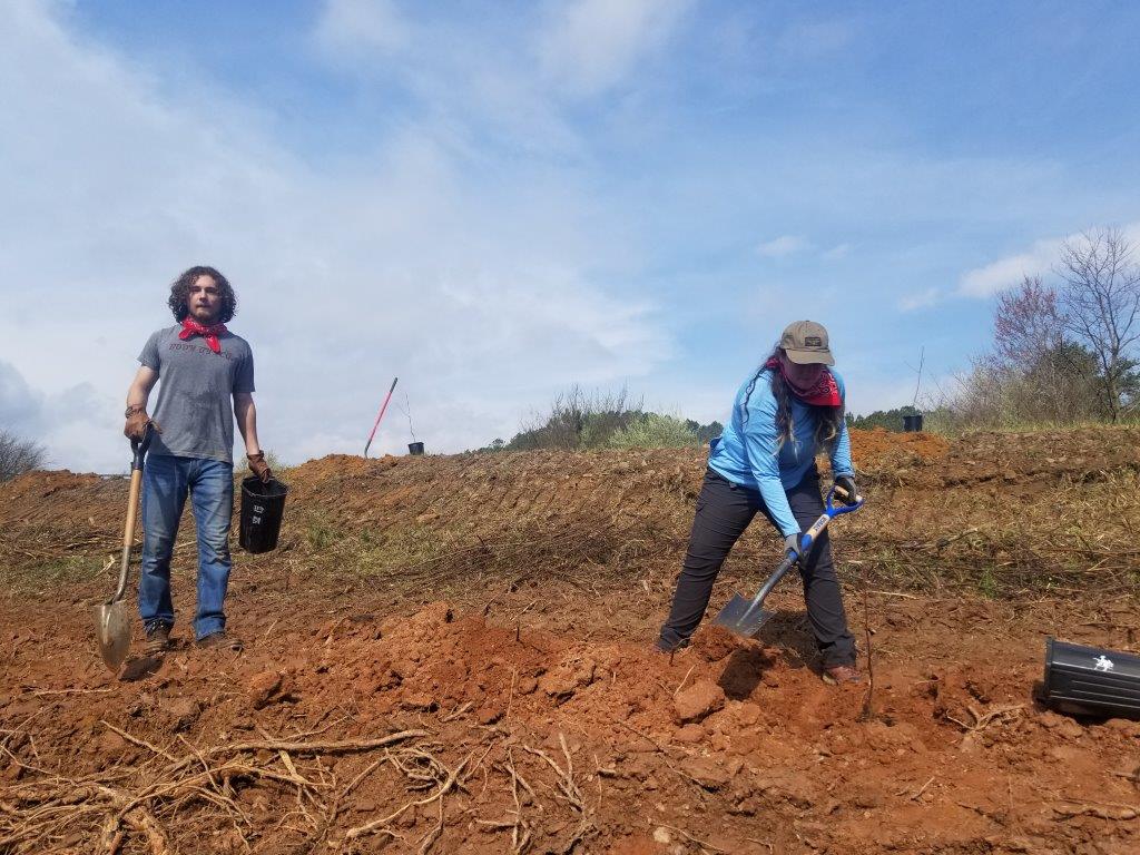 A man stands with a shovel beside a woman digging with another shovel.