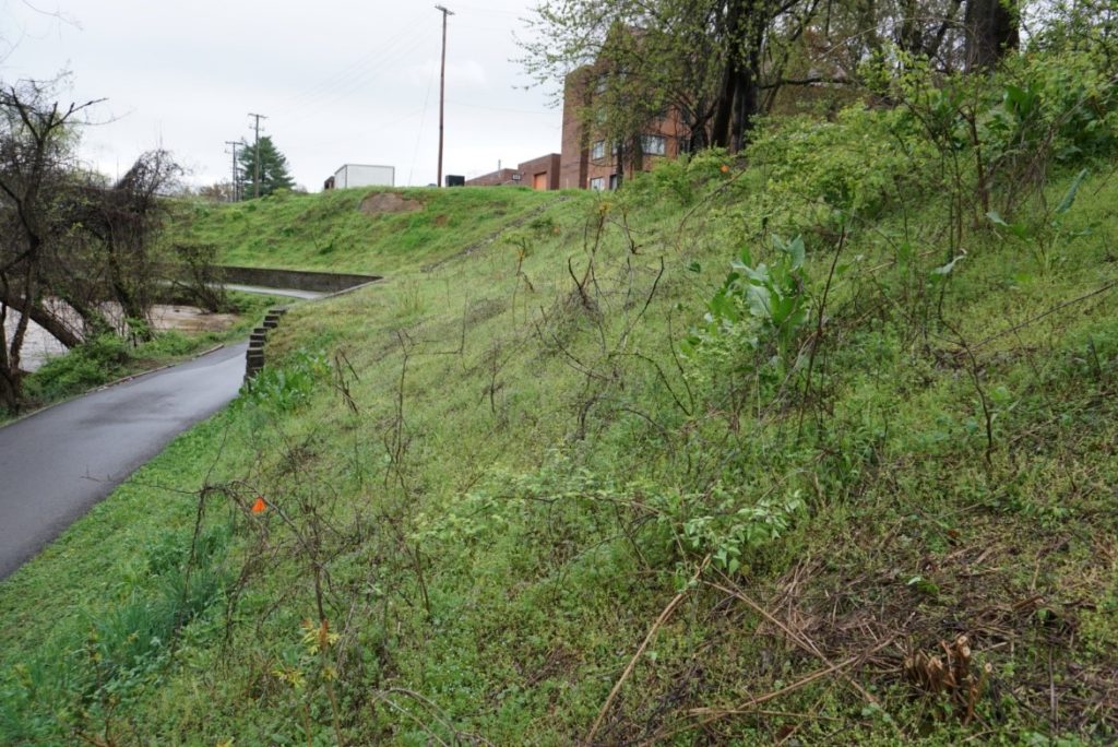 Vegetation grows on hill near paved path and creek.