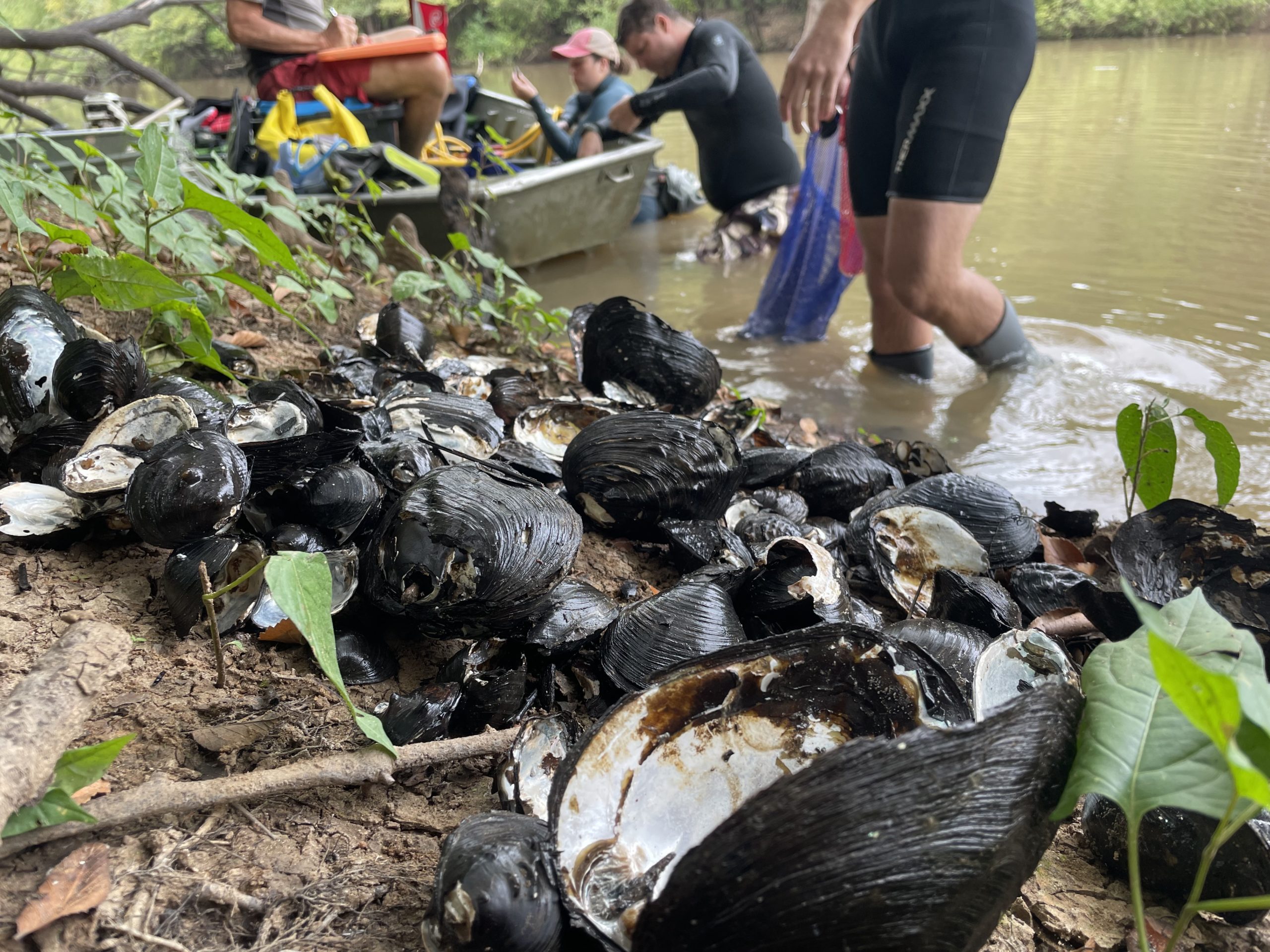 Fisheries Assistant Professor and McClung Museum Curator's work on