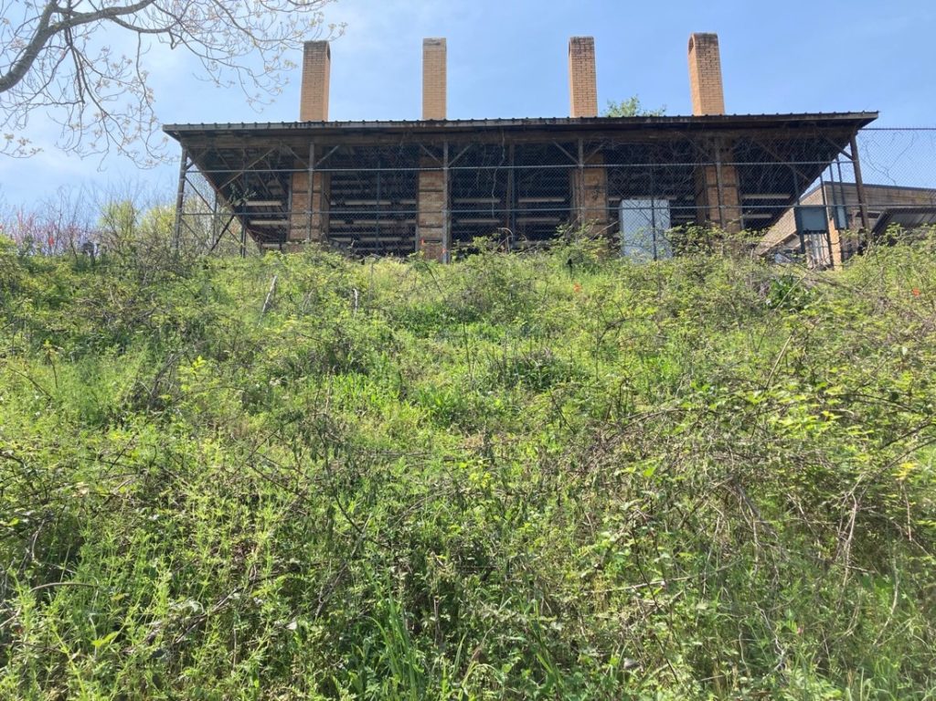 Vegetation grows uphill toward building.