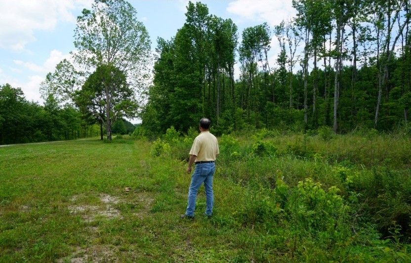 Man stands at edge of forest.