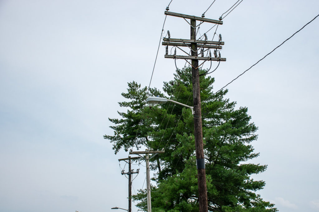 Power poles and lines stand near tall tree.