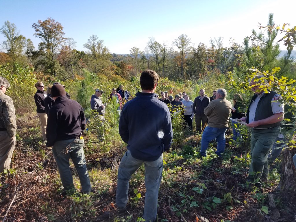 Group of people stand in tree stand.