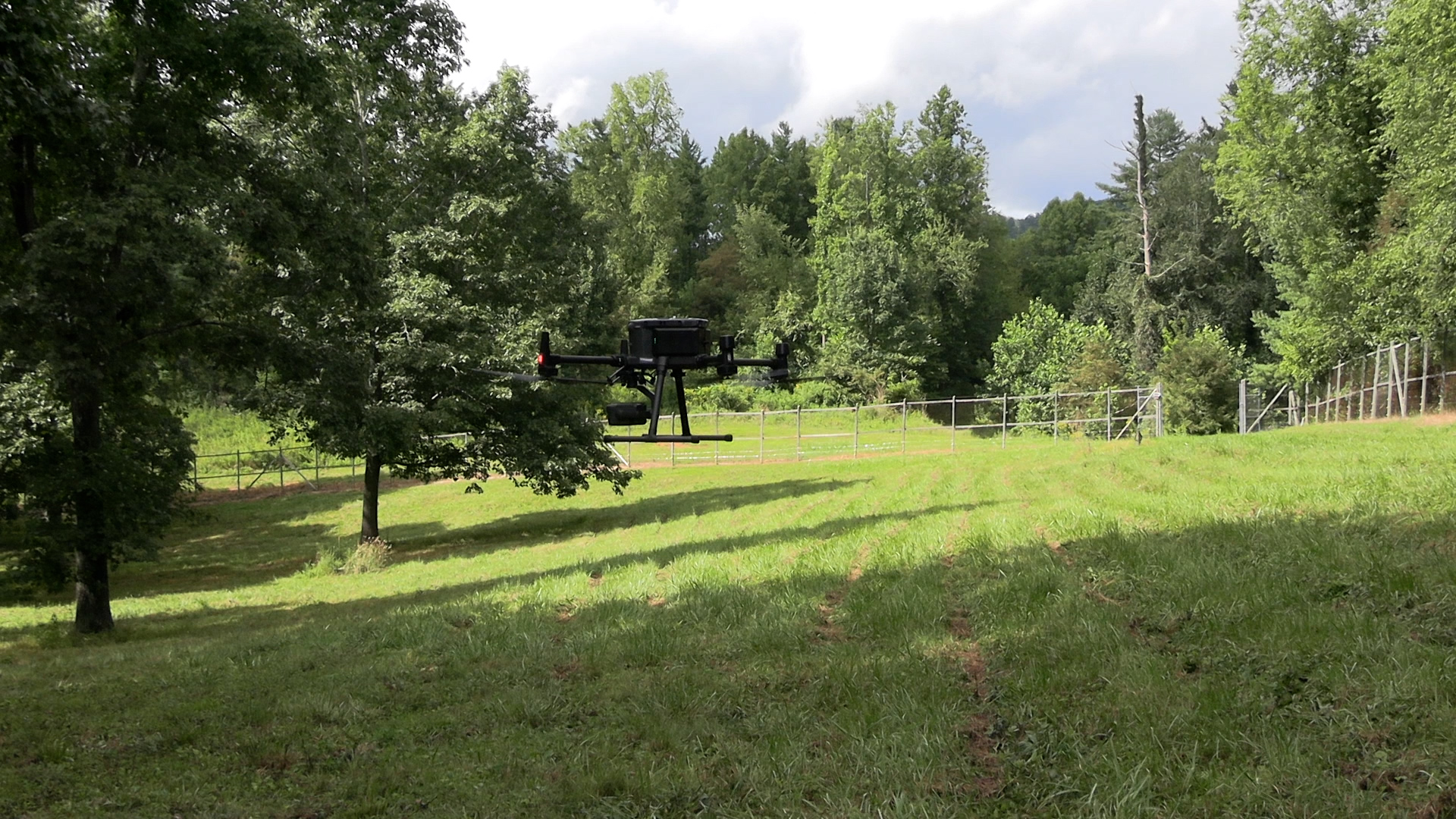 Drone hovers above ground in tree orchard.