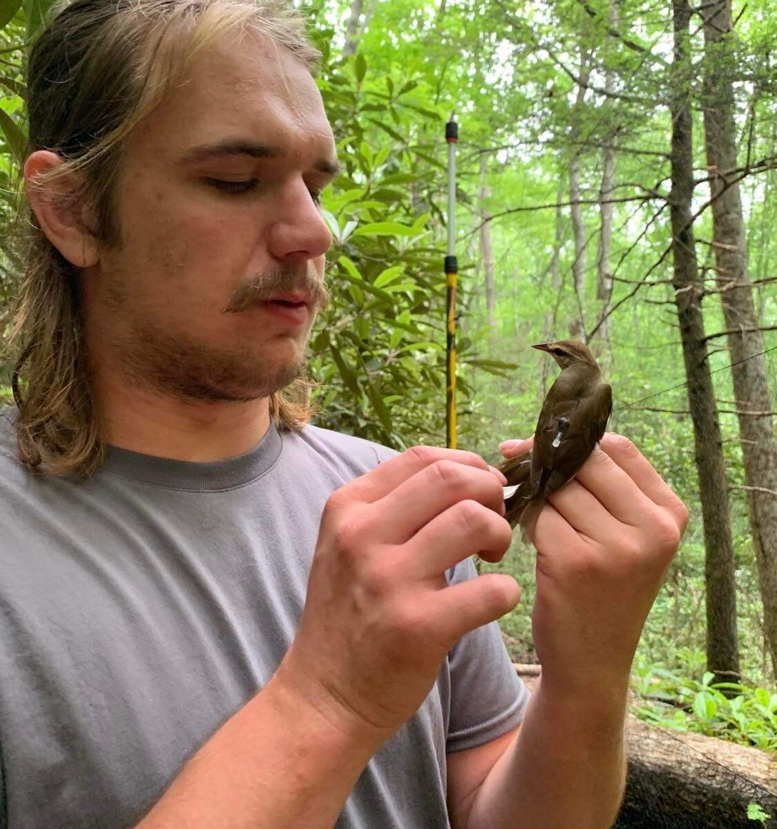 Man holds and looks at bird.