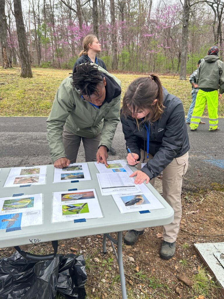 Two students identify birds during the field team competition at The Wildlife Society 2024 Southeastern Student Conclave.