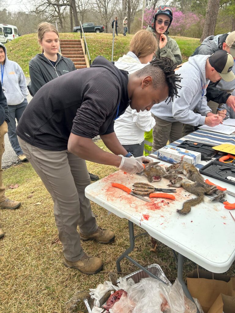 A student participates in hunting safety and squirrel processing at The Wildlife Society 2024 Southeastern Student Conclave.