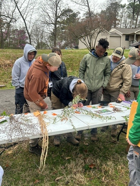 Students identify plants during the field team competition at The Wildlife Society 2024 Southeastern Student Conclave.