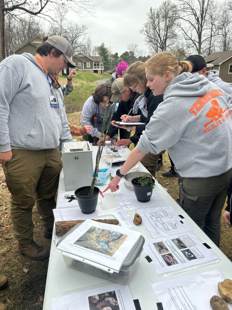 Students participate at the wetland station during field team competition at The Wildlife Society 2024 Southeastern Student Conclave.