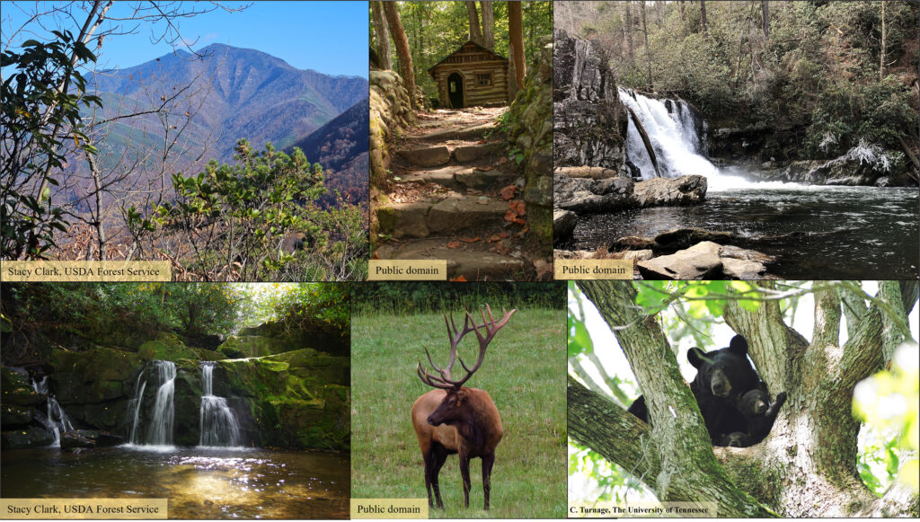 A collage of images with the top left showing a mountain, the top middle image showing a log cabin at the top of stone steps, and the top right showing a waterfall. The bottom left image shows a different waterfall, the bottom middle image shows an elk standing in a field, and the bottom right image shows a bear and her cub in a tree.