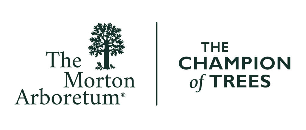 The green Morton Arboretum logo with a tree graphic