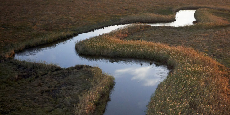 Stream flows through grassland.