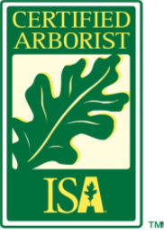 Logo for the International Society of Arboriculture Certified Arborist program with green oak leaf.