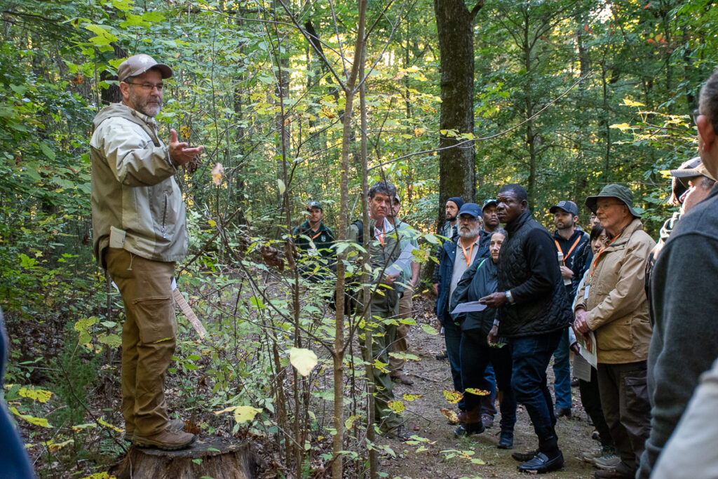 A man stands on a stump talking to a group of people in the woods.