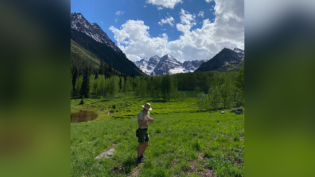 Man in forest ranger uniform looks at something in his hand while standing in a meadow in the mountains.