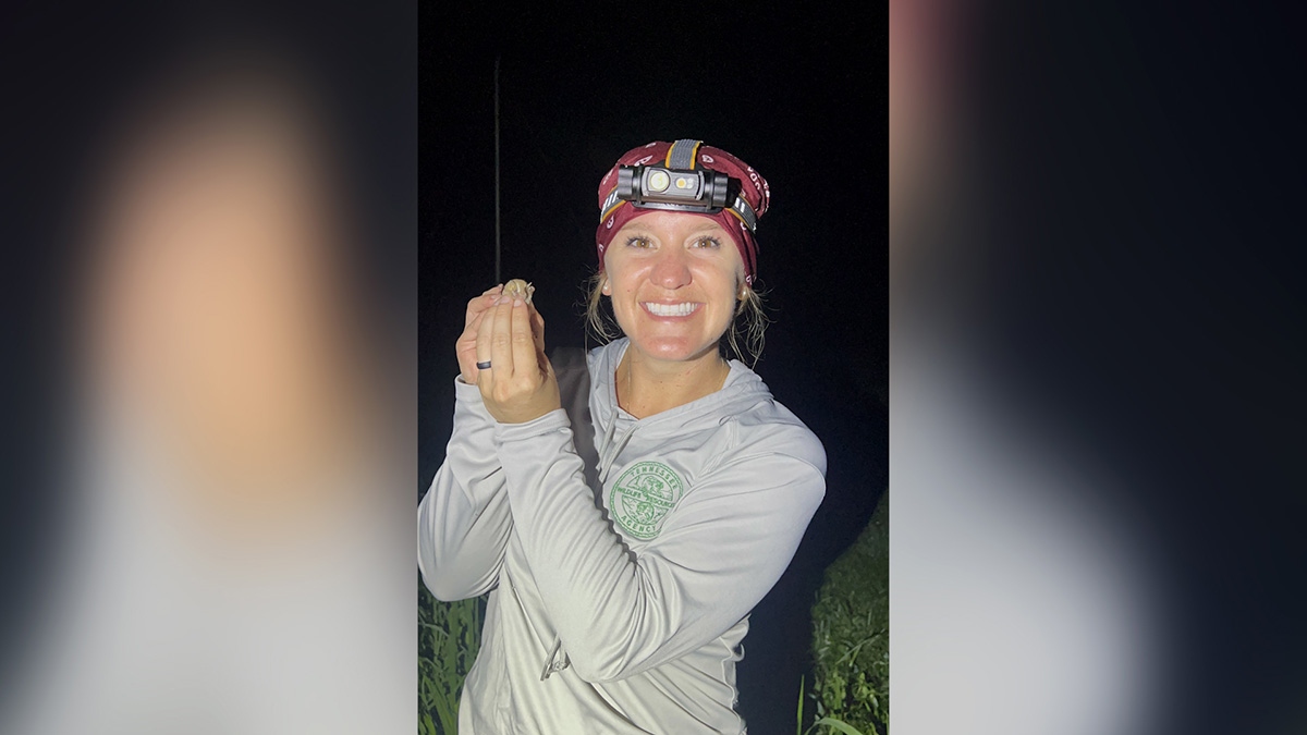 Woman smiles while holding a bat and wearing a headlamp with a red bandana and a gray, long-sleeve shirt at night.