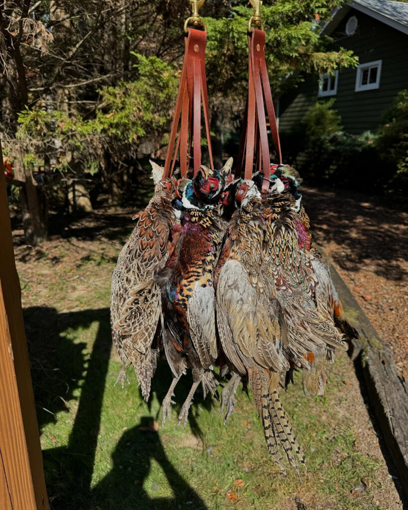 Dead quail and pheasants hang from a red rope.