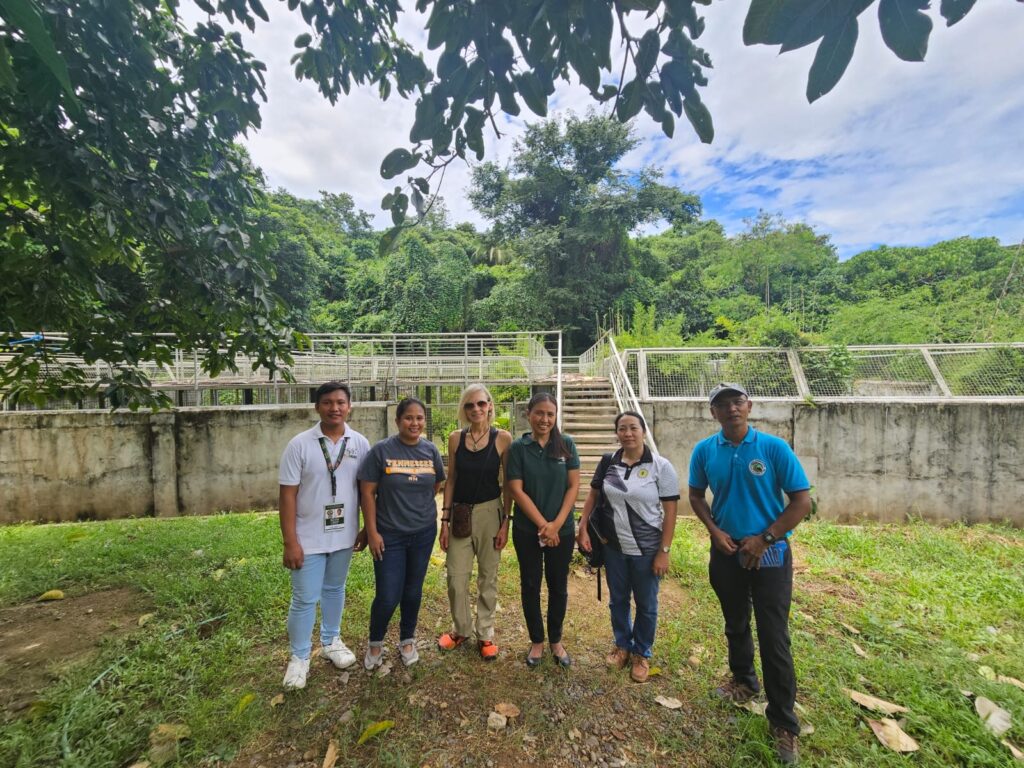 Six people stand underneath a tree.