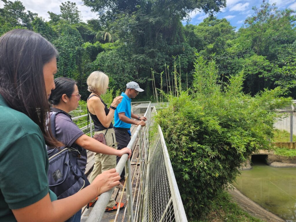 Four people look over a gate into an enclosed area.