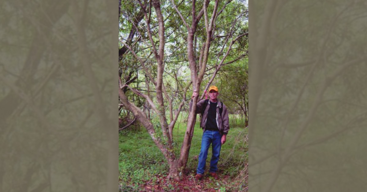 Man stands next to tree with hand wrapped around trunk.