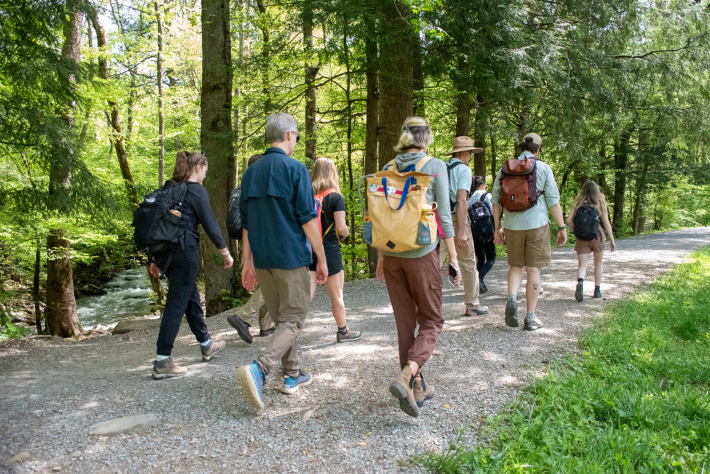 Several people walk on a trail in the Great Smoky Mountains National Park.