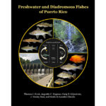 Cover image of Freshwater and Diadromous Fishes of Puerto Rico book with graphic showing fish, a dam, and a waterfall.