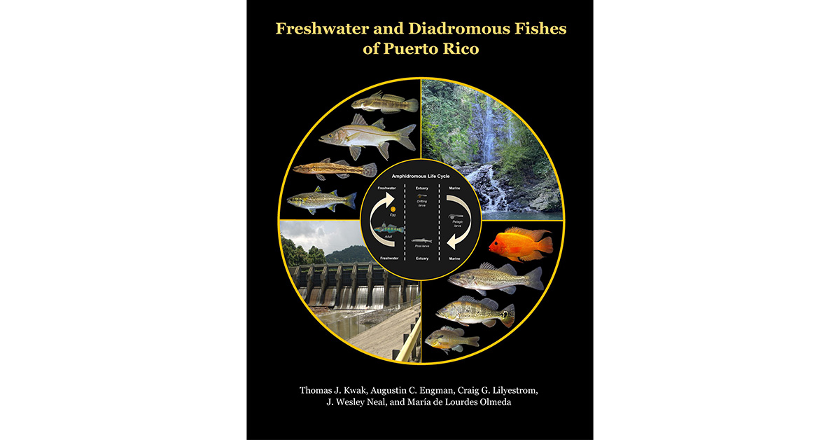 Cover image of Freshwater and Diadromous Fishes of Puerto Rico book with graphic showing fish, a dam, and a waterfall.