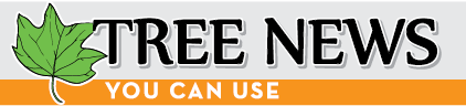 Graphic shows green leaf next to the words "Tree News You Can Use."