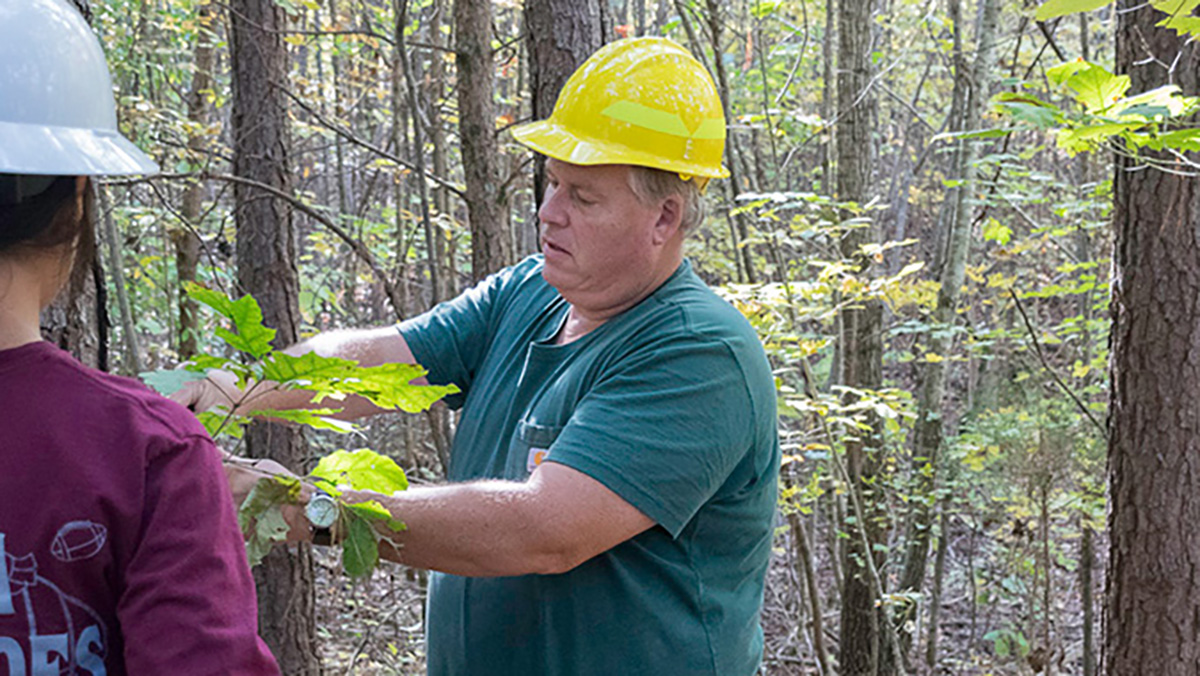 Two people in hard hats stand in forest.