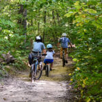 Three people bike on a trail.