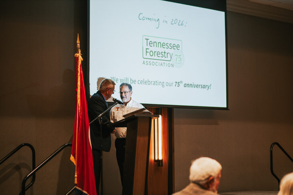 Two people stand by podium on stage lit by projector screen while two people watch off stage.