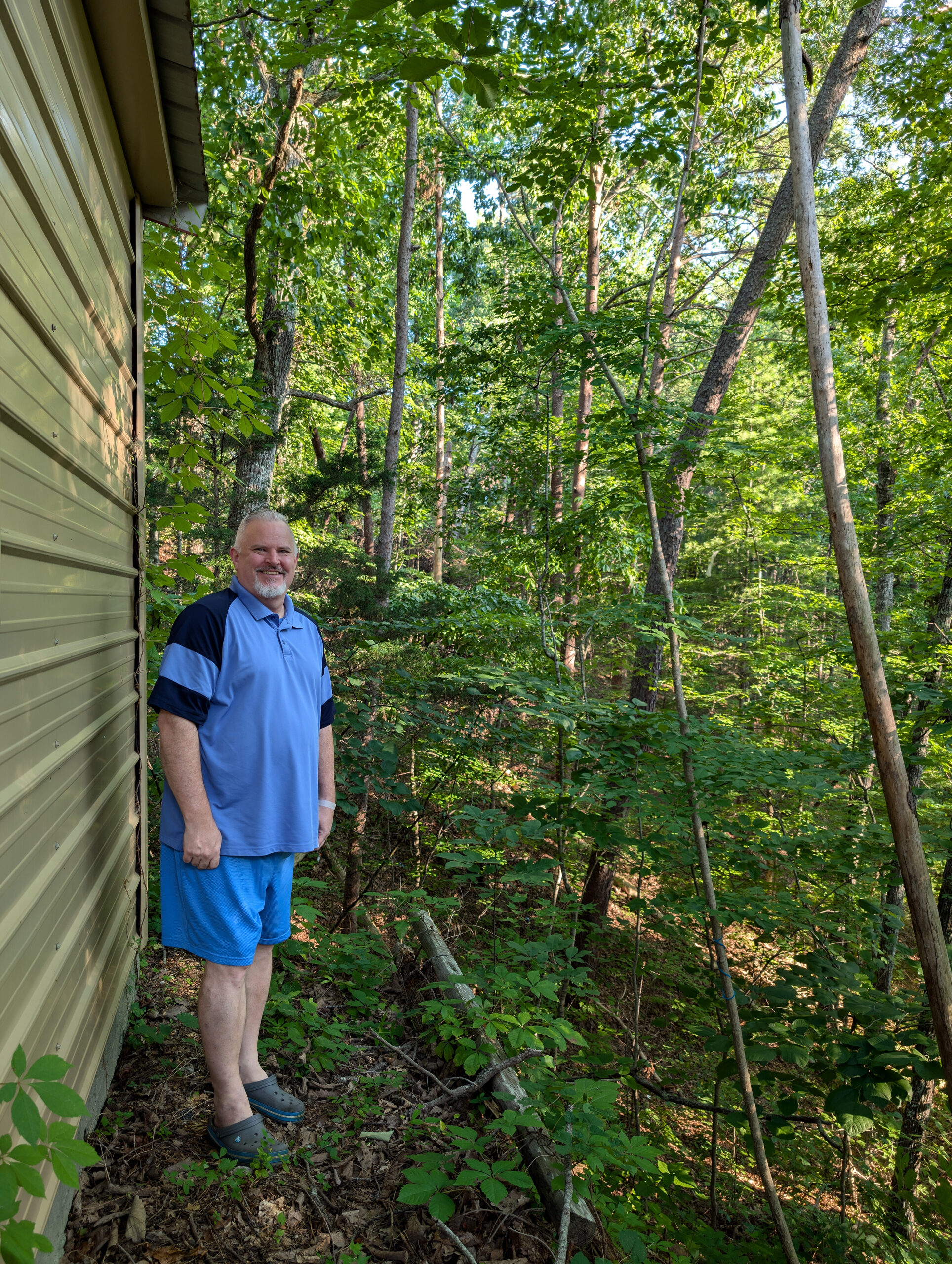 image for Devil's Walkingstick