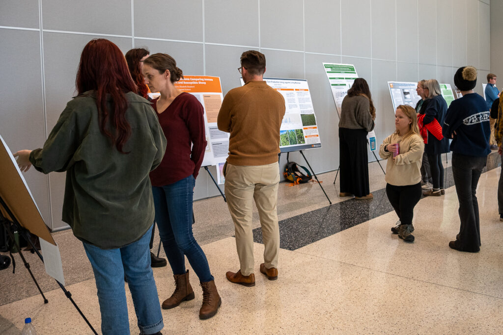 Eight people look at posters in the Agriculture and Natural Resources Building at the UT Institute of Agriculture.
