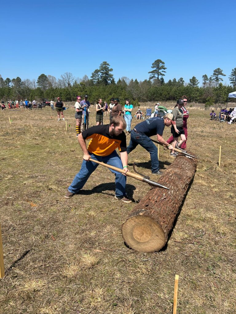 People use tools to roll a log on the ground.