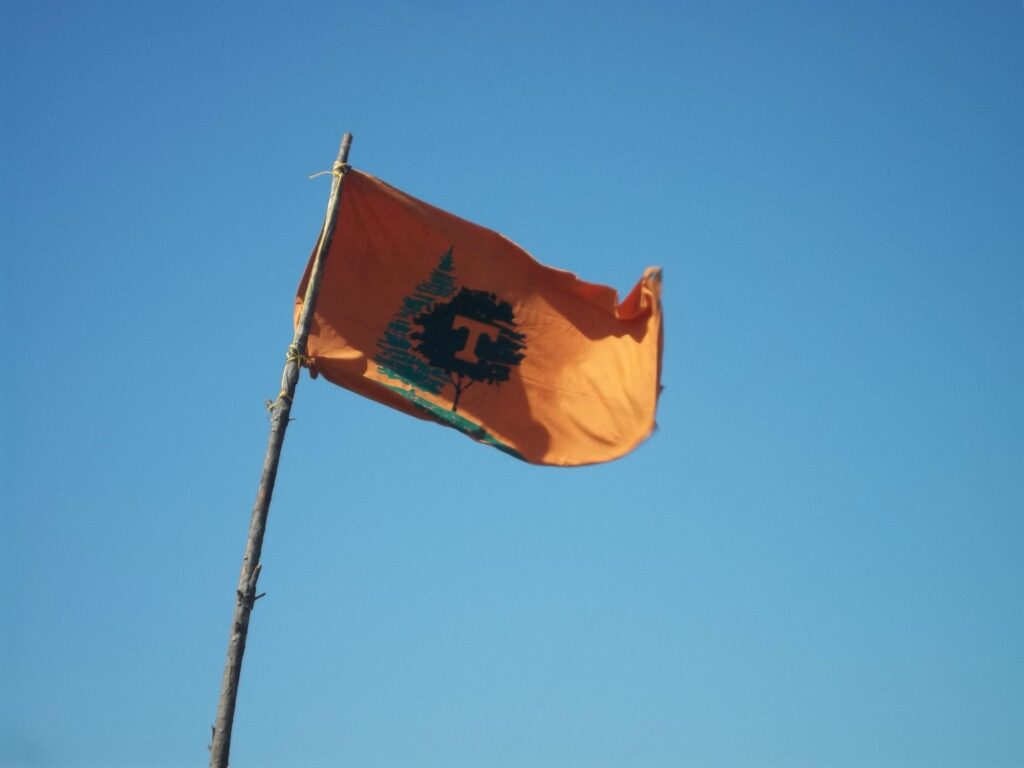 A orange flag with a Tennessee power T and two trees in the blue sky.