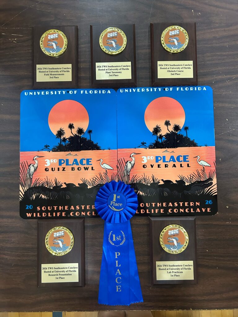 Seven plagues and a blue ribbon sit on a table at the University of Florida.