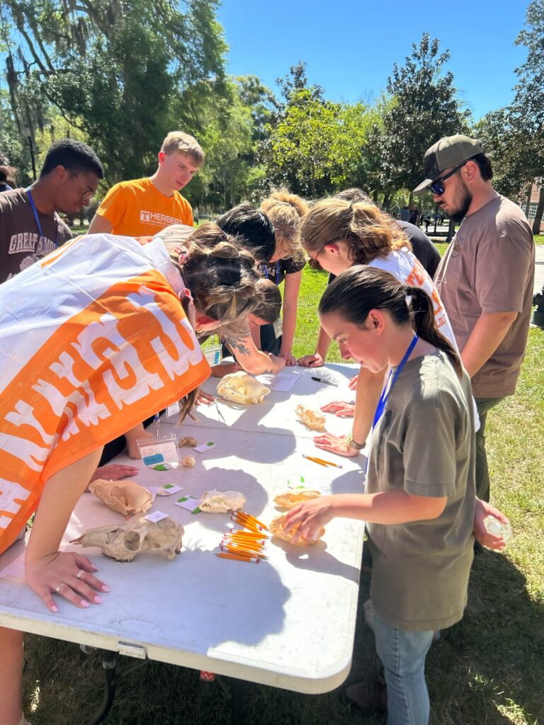 Ten people stand around a table looking at items outside at the University of Florida.
