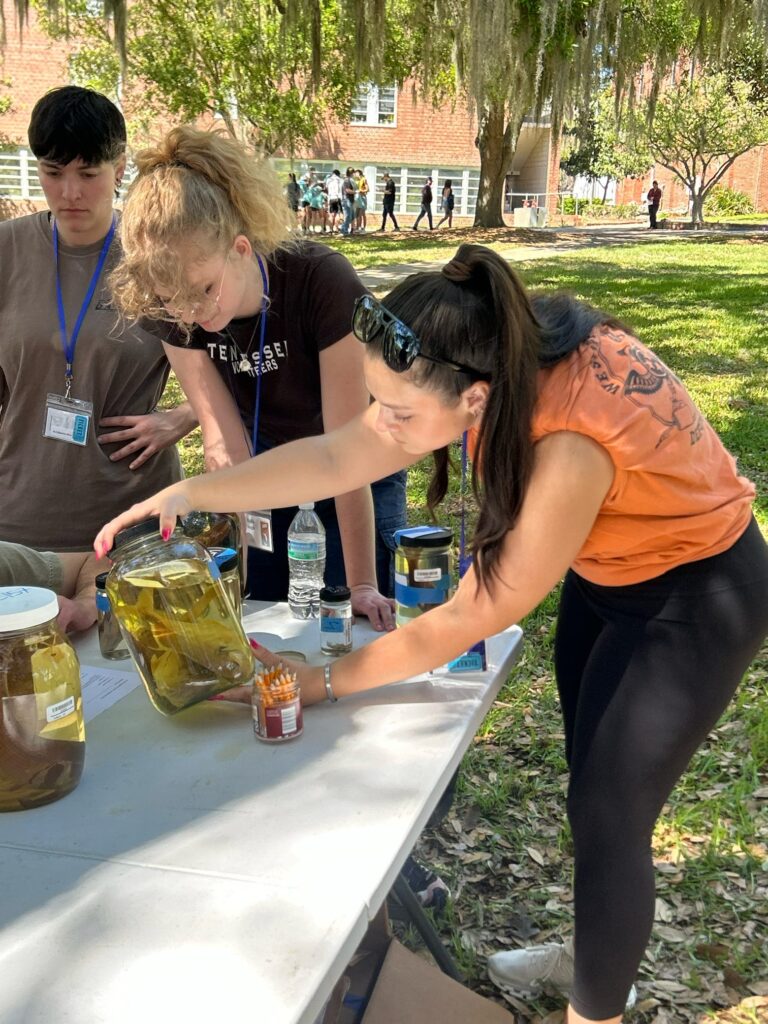 Three people look at dead fish in jars outside at the University of Florida.