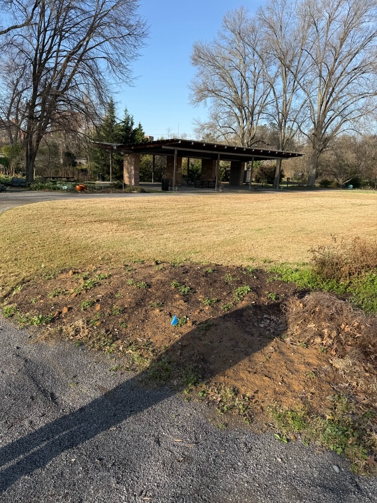 Pavilion and open grassy area in the middle of the University of Tennessee Gardens.
