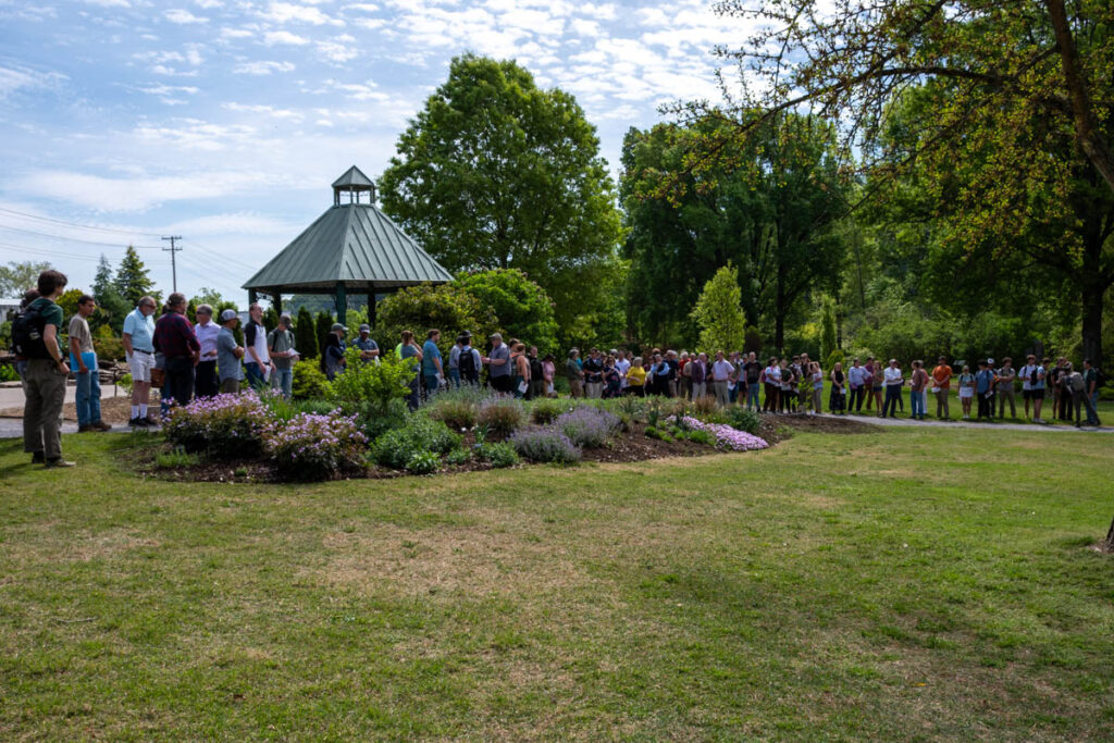 A crowd of people gathers in UT Gardens.