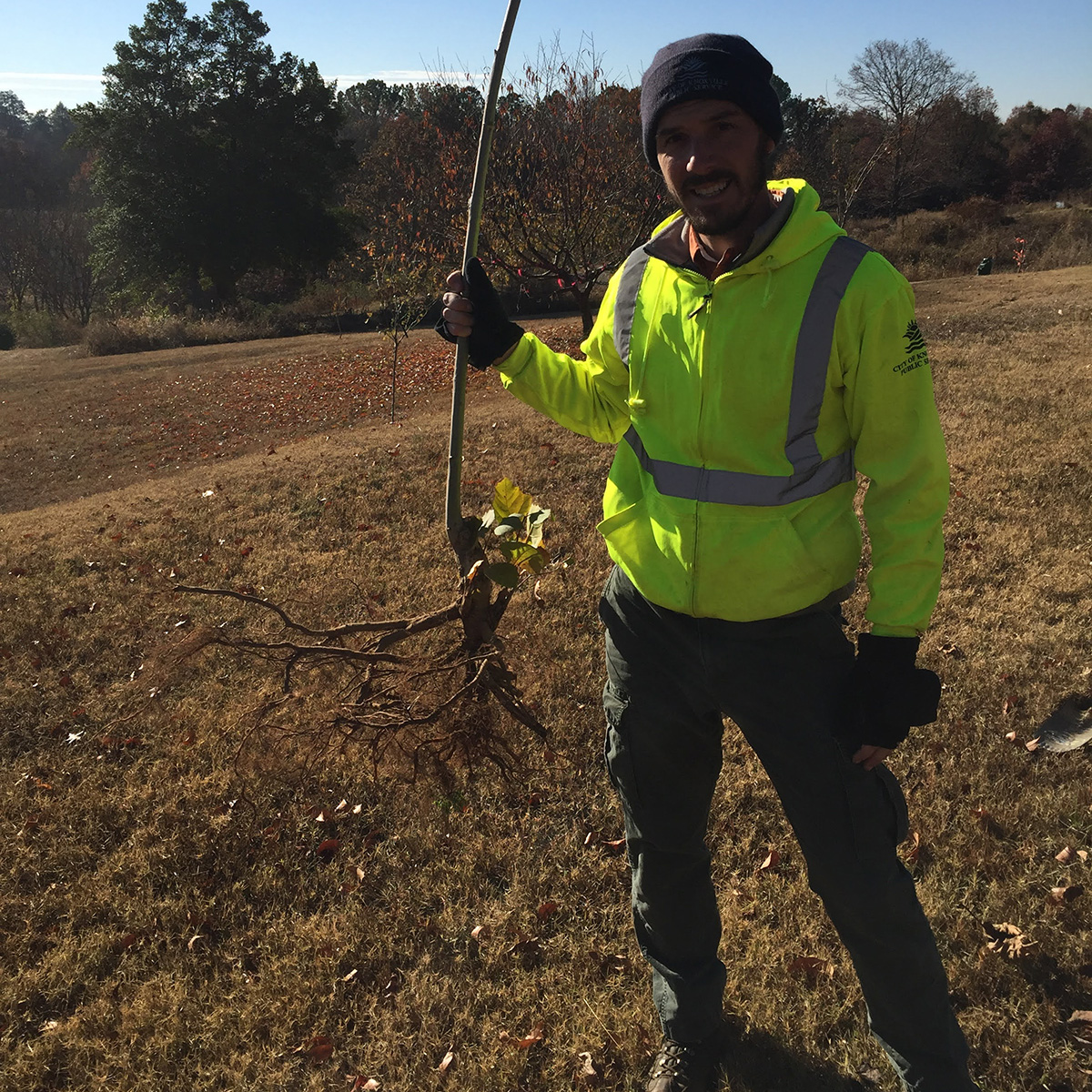 Person wearing bright yellow jackets and a dark beanie holds a tree in an open field.